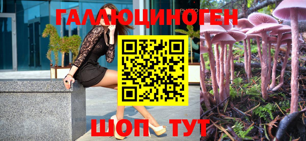 Псилоцибиновые грибы Psilocybe Зеленокумск